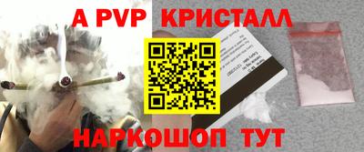 Альфа ПВП Новодвинск