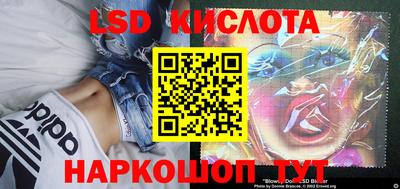молекула духа Новозыбков