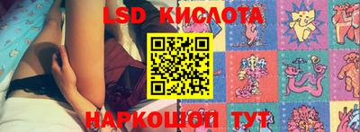молекула духа Новозыбков